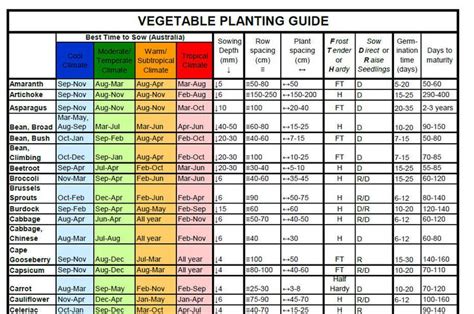 Seed Sowing Vegetable Planting Guide When To Plant Vegetables