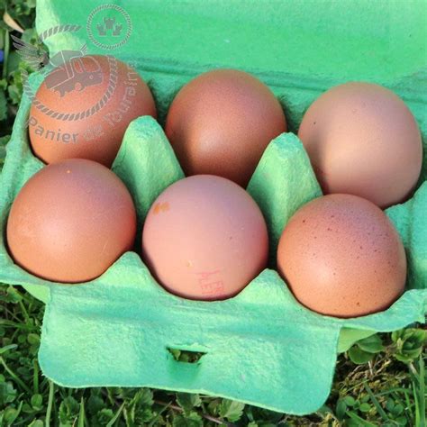 6 Oeufs frais de poules élevées en plein air calibre Gros 63 73g