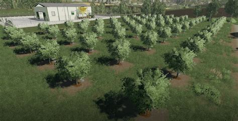 Fs Pack Olive Tree V Farming Simulator Mod Ls Mod