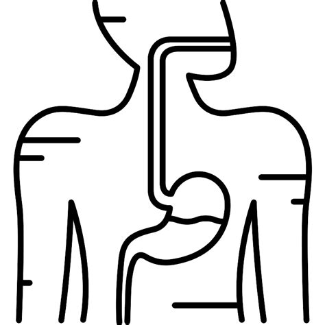 Digestive System Vector Svg Icon Svg Repo