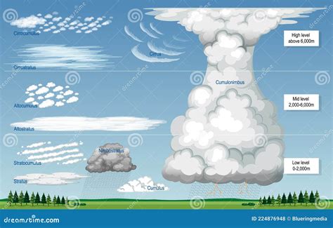 The Different Types Of Clouds With Names And Sky Levels Vector ...