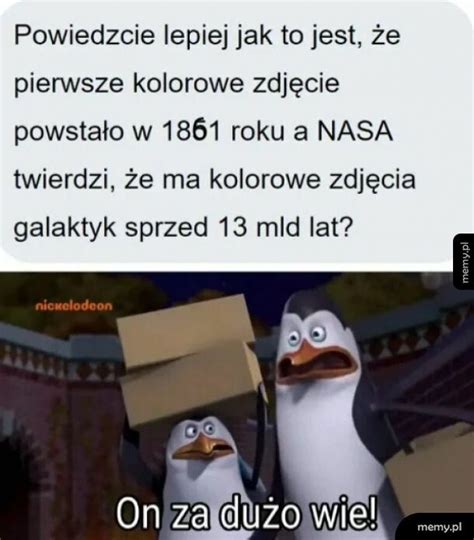 Kowalski Opcje Memy Pl