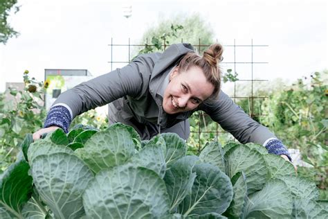 Moestuin Bemesten Handige Tips Per Groentesoort Voor Een Hogere Opbrengst