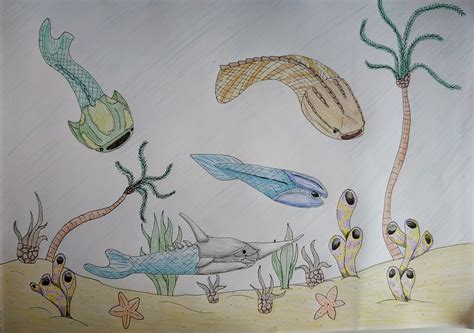 Some Prehistoric Jawless Fish I Just Finished Species In The Comments