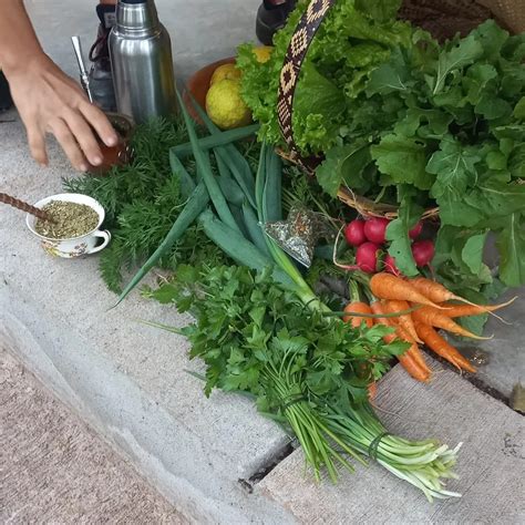 Precios De Frutas Y Verduras Lideran La Suba En La Primera Semana De