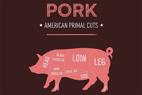 American Primal Pork Meat Cuts Diagram