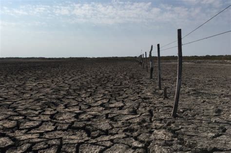 Sequía Hay 23 Millones De Hectáreas Afectadas En Todo El País