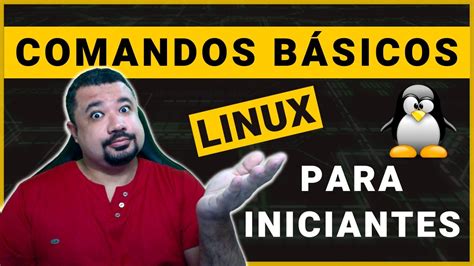 Comandos Básicos do Linux Guia para Iniciantes Terminal Linux YouTube