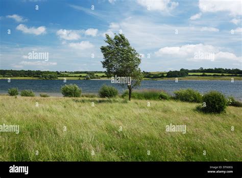 Pitsford Water Reservoir Northamptonshire England Uk Stock Photo Alamy