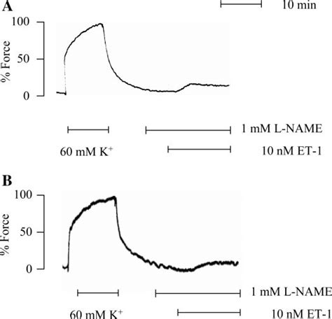 Representative Traces Showing The Maximum Contractile Response Induced