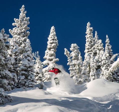 Bridger Bowl Ski Area | Ski area, Skiing, Montana