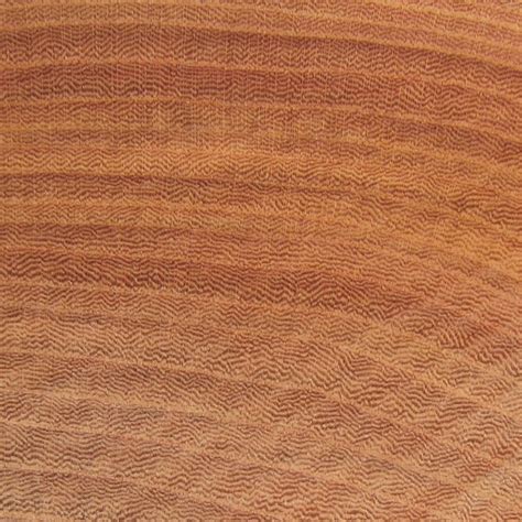 Kiln Dried Red Elm Wood Turning Blanks Got Wood Llc Got Wood Llc