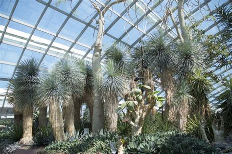 The Conservatory Flower Dome Located At Park Gardens By The Bay