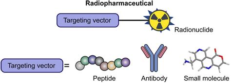 Frontiers Development Of Radiopharmaceuticals For Targeted Alpha