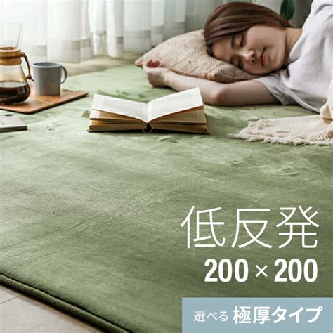 【全品5％offクーポン配布中】 シリーズ累計26万枚突破 ラグ 北欧 低反発 200×200 ラグマット 送料無料 Rug 低反発ラグ