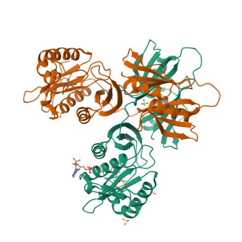 Rcsb Pdb Zw Crystal Structure Of Bleomycin N Acetyltransferase