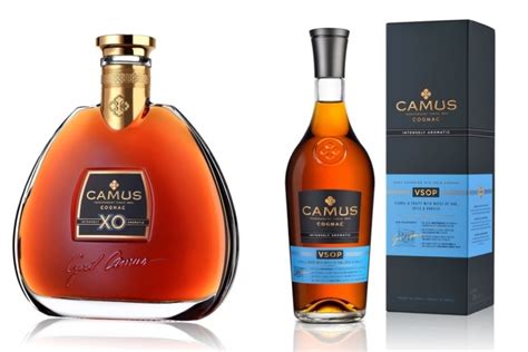 10 Best Cognac Brands To Spruce Up Your Snifter Man Of Many