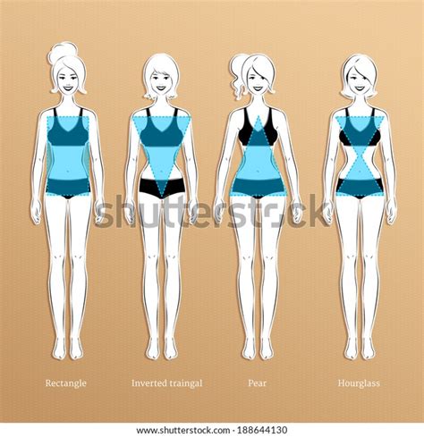 Female Body Types Vector Illustration 스톡 벡터 로열티 프리 188644130