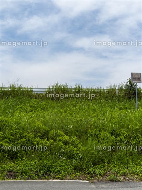 新緑に覆われた堤防と青空の風景の写真素材 [258540636] イメージマート