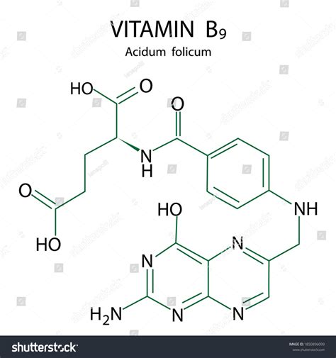 Vitamin B Formula Molecular Structure Royalty Free Stock Vector