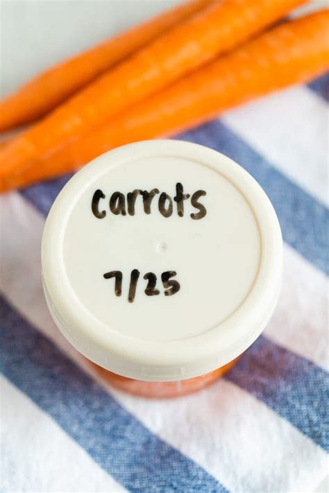 How to Make Carrot Baby Food (Carrot Puree) - Eating Bird Food