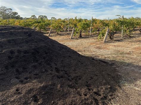 Organic Compost Pile with Vineyards 3 - Jeffries