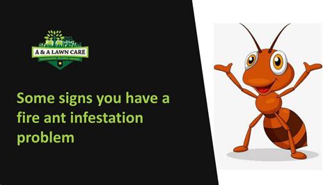 Ppt Top Notch Fire Ant Control And Lawn Fertilization Services Powerpoint Presentation Id