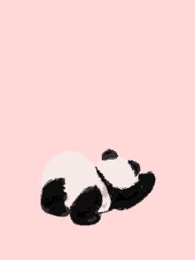 Cute Panda Love GIFs | Tenor