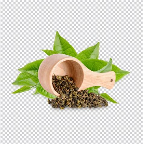 Premium Psd Green Tea Leaf Isolated Premium Psd