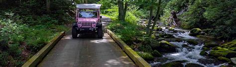 Must Do Smoky Mountains Activity Pigeon Forge Pink Jeep Tours