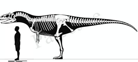 Allosaurus fragilis by PaleoJoe on DeviantArt