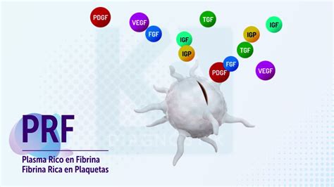 Prf Plasma Rico En Fibrina Fibrina Rica En Plaquetas Youtube