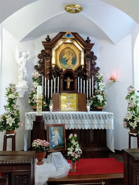 Família Tabor transfigura hoje a realidade na misericórdia do Senhor