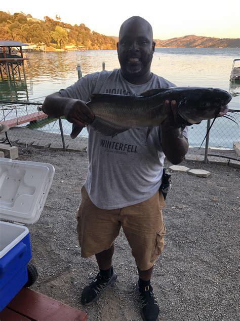 18 Lb Catfish Caught On 17 Lb Test With Mackerel At Clearlake Ca This