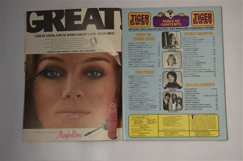 1979 Tiger Beat Magazines March April And May Issues Etsy