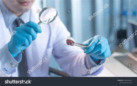 Lab Magnifying Glass Images Stock Photos Vectors Shutterstock