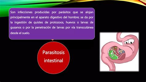 La Parasitosis PPT