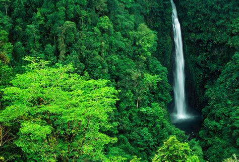 Quand Partir Au Costa Rica D Couvrez Tous Nos Conseils Kayak