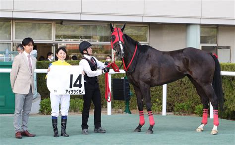 【福島7r・3歳未勝利】女性騎手最多5人騎乗の一戦は古川奈穂騎手がv 「そういう時に勝つ気がします」 Umatoku 馬トク