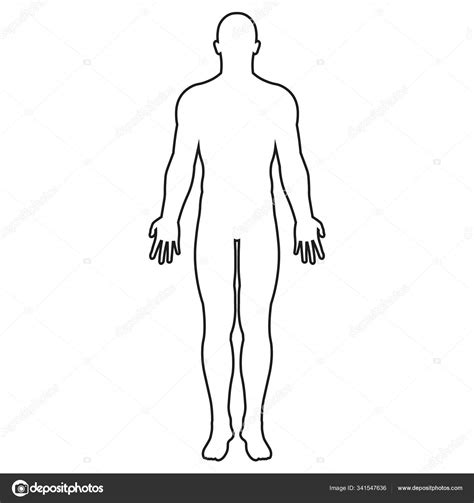 Vector Illstration Of Human Body Icon Outline Design Isolated Stock