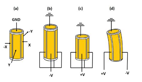 Schematics Of The Operation Of The Piezo Tube B When A Positive