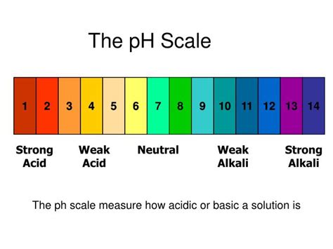 The Ph Scale N Anyone Science