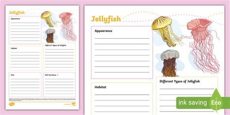 KS2 Jellyfish Fact File Template Teacher Made Twinkl