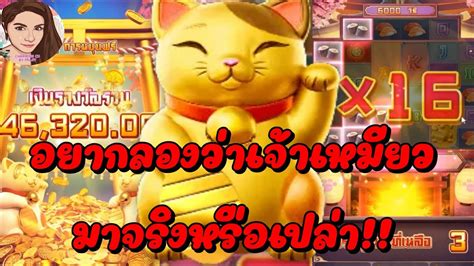 Lucky Neko เกมเนโกะนำโชค จากคาย PG Slot เกอบโดนเจาเหมยวเลนงานซะ