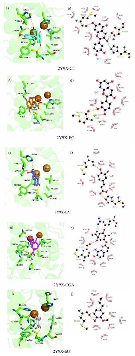 Molecular Docking Conformations Of Five Compounds And Tyrosinase The