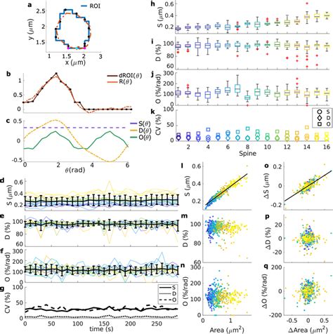 Shape Descriptors Of Spines From A Population Data Set A Blue Line