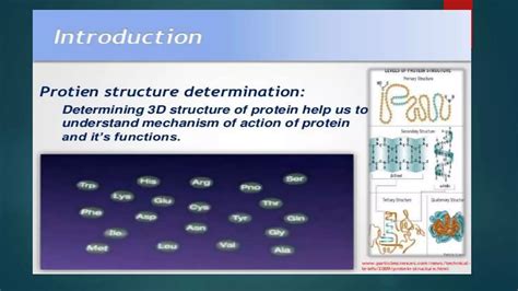 Methods To Determine Protein Structure Ppt