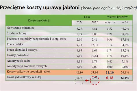 Koszt wyprodukowania kilograma jabłek w 2022 wzrósł o 23 Sad24 pl