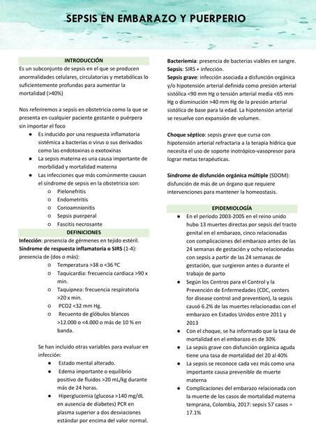 Sepsis En Embarazo Y Puerperio Sobreviviendo A Medicina Udocz