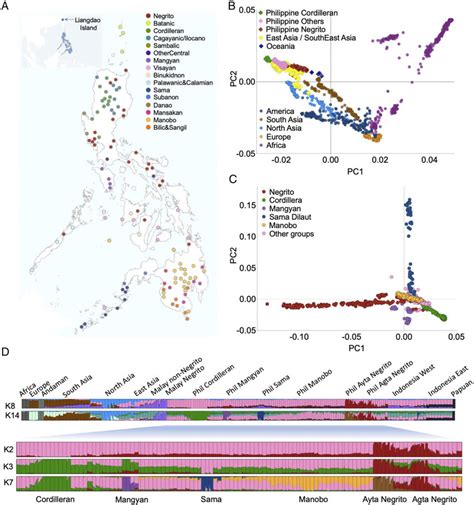 Overview Of Philippine Population Structure A Location Of Indigenous